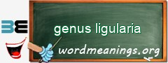 WordMeaning blackboard for genus ligularia